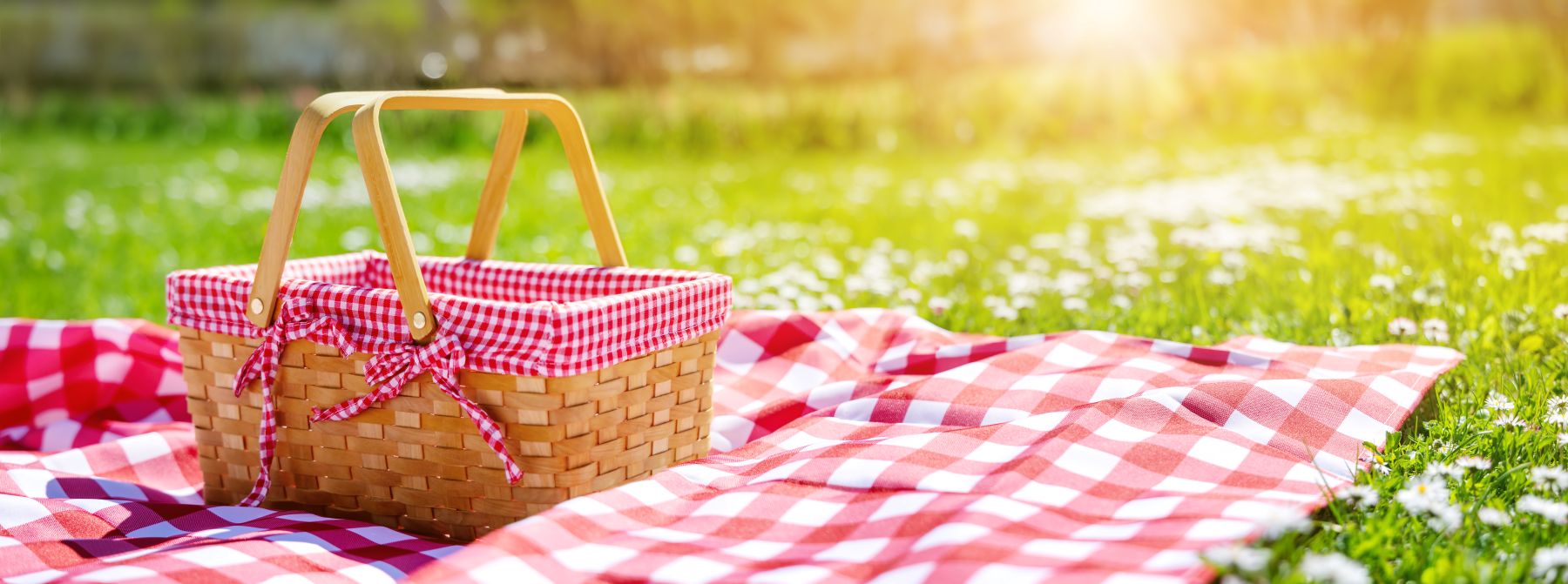 Adult Class: Spring Picnic
